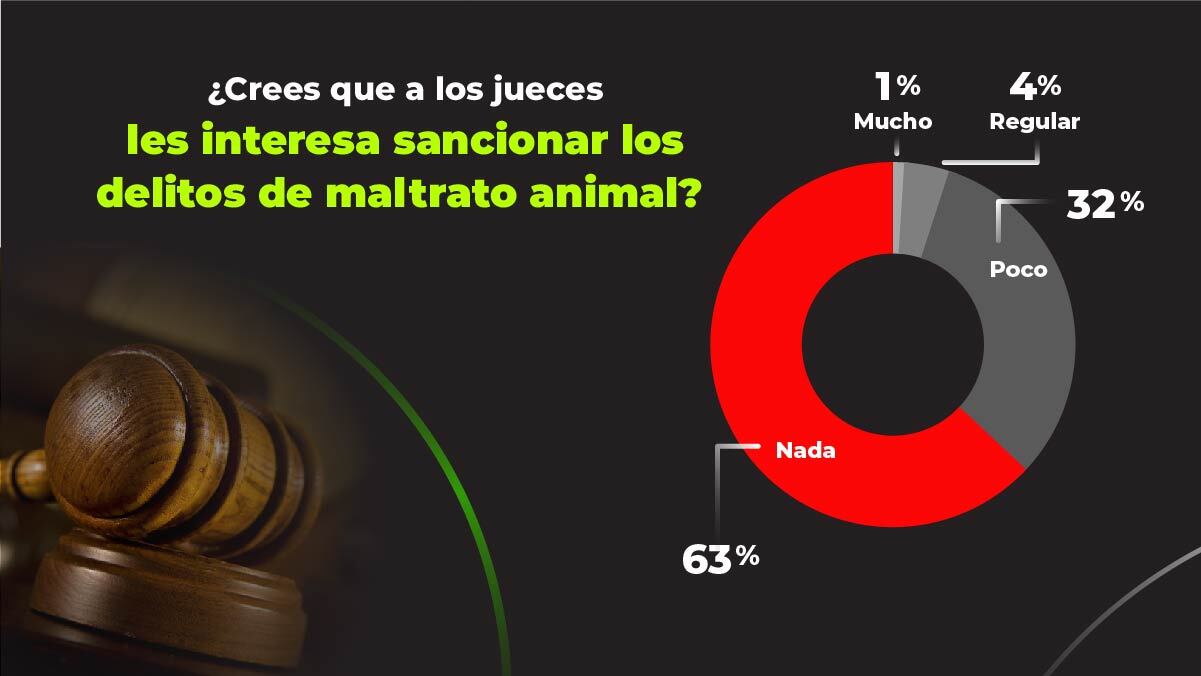 ¿Crees que a los jueces les interesa sancionar los delitos de maltrato animal?