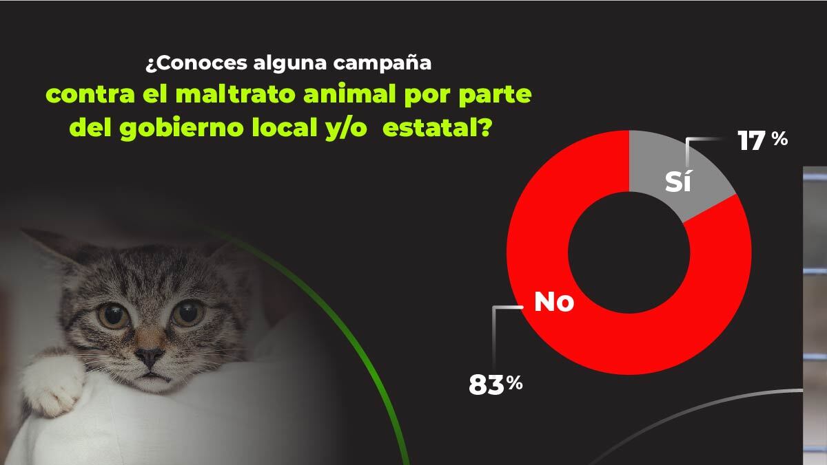 ¿Conoces alguna campaña contra el maltrato animal por parte del gobierno local o estatal?