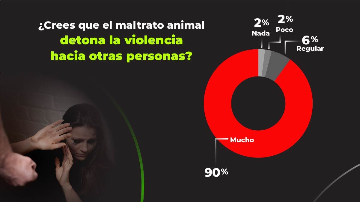 ¿Crees que el maltrato animal detona la violencia hacia otras personas?