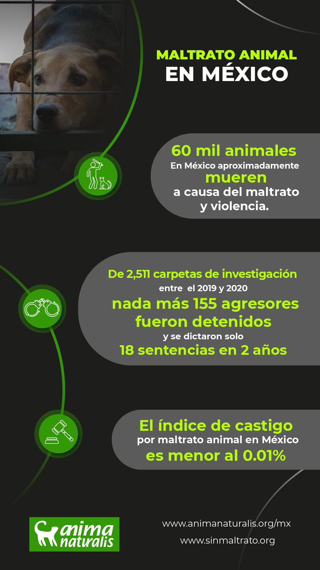 Maltrato animal en México